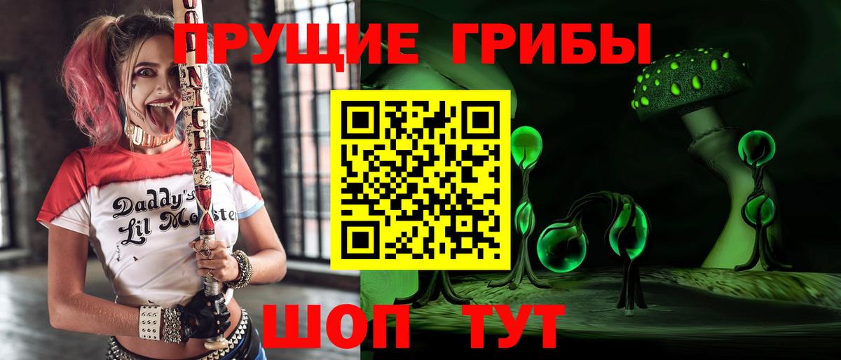 Галлюциногенные грибы Psilocybine cubensis  Вход с VPN  Псилоцибиновые грибы GOLDEN TEACHER  Рязань 