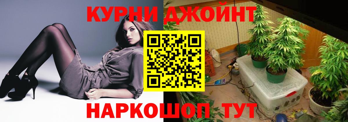 Каннабис конопля Рязань